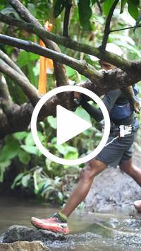 BIB:  <button type="button" onclick="openModal(27802617)" class="btn btn-primary btn-sm float-right" data-toggle="modal" data-target=".modal-high-quality">
                <i class="fa fa-download"></i> Download
                </button>